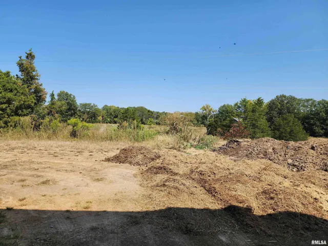 $749,000 | 1230 Highway 45, Vienna, IL 62995