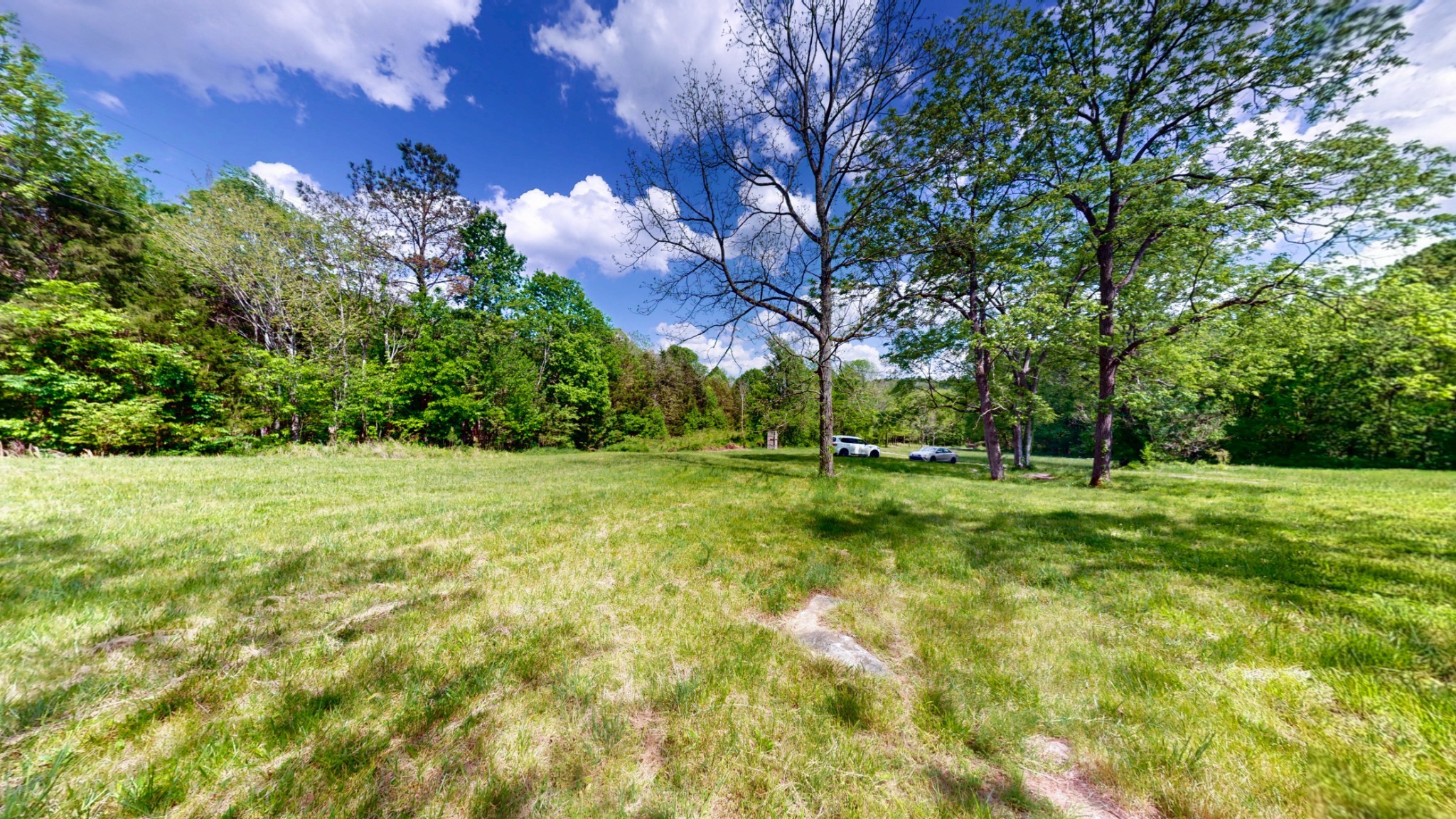 2517 Patton Hollow Road Watertown, TN 37184 - Photo 7 of 29