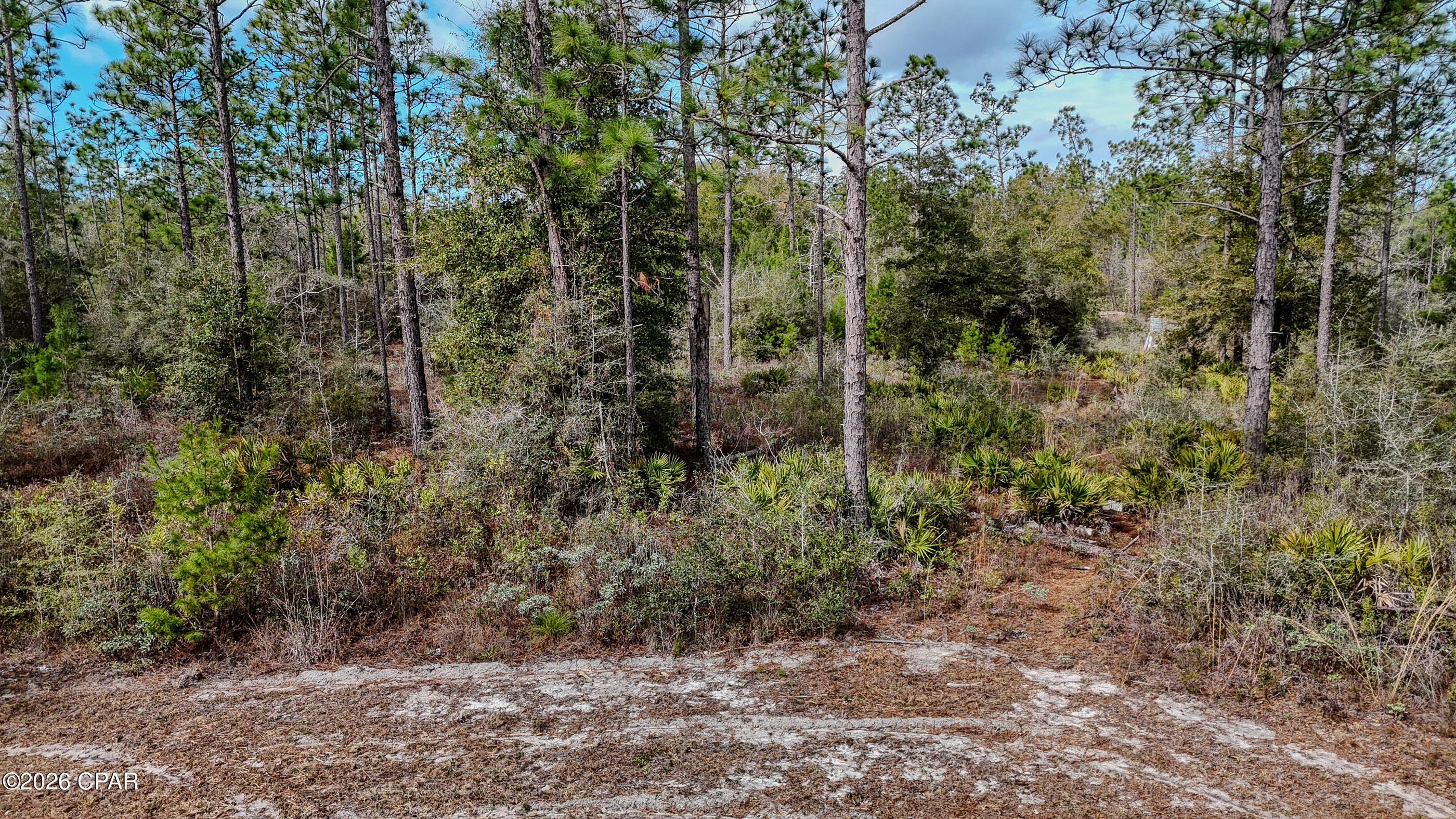23588 Lamont Road Fountain, FL 32438 - Photo 43 of 48