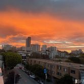 a view of city with ocean