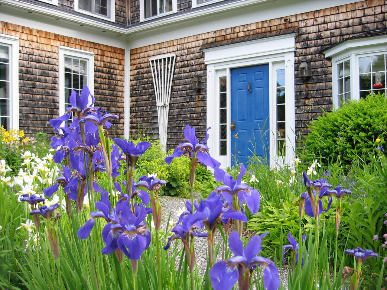 39 Rogers Point Road Steuben, ME 04680 - Photo 5 of 21 Irises