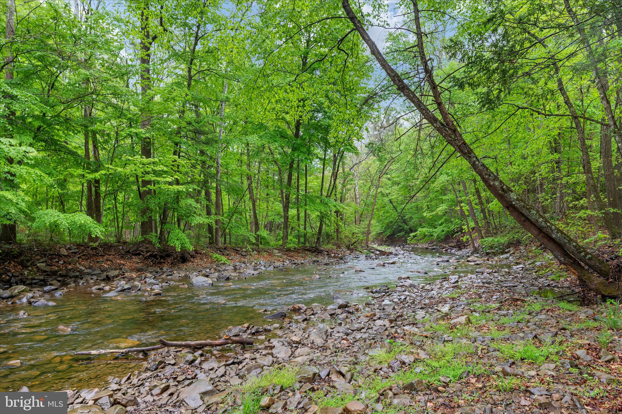 13581 Ford Hill Road Rio, WV 26755 - Photo 2 of 70 2E6A1243_13581 Ford Hill Rd - Absolute Altitude -