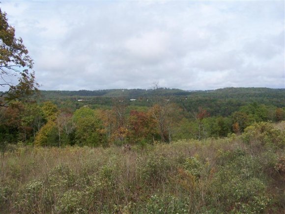 Church Road Branson, MO 65616 - Photo 1 of 1 Primary Photo