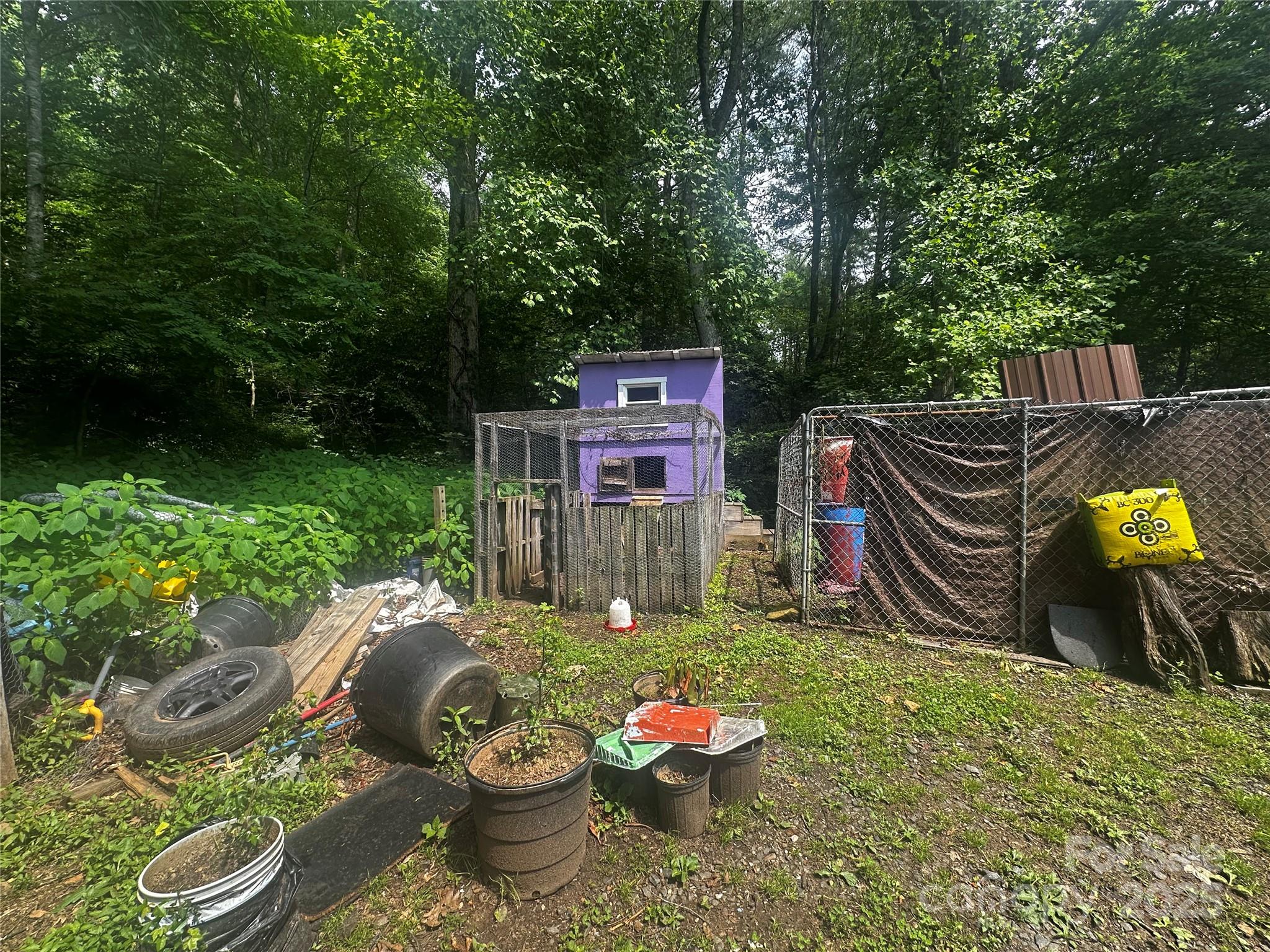 193 Green Cove Road Bakersville, NC 28705 - Photo 20 of 30