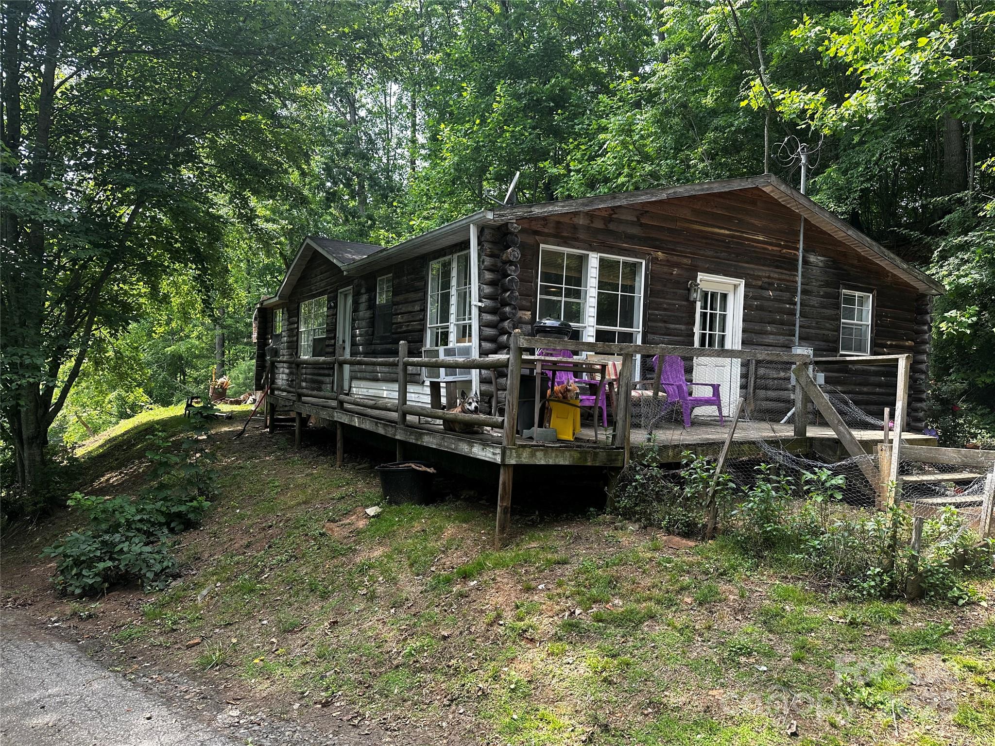 193 Green Cove Road Bakersville, NC 28705 - Photo 2 of 30