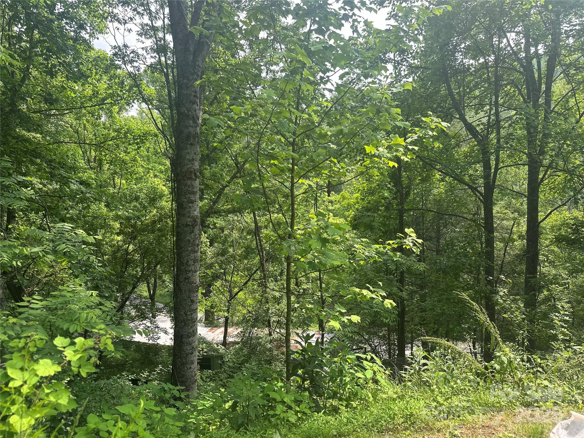 193 Green Cove Road Bakersville, NC 28705 - Photo 21 of 30
