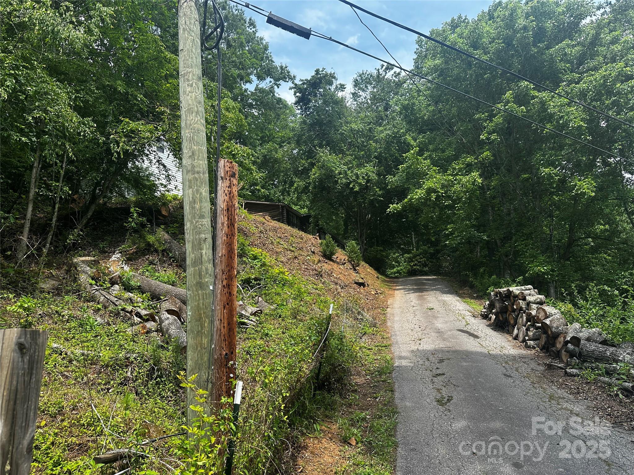 193 Green Cove Road Bakersville, NC 28705 - Photo 26 of 30