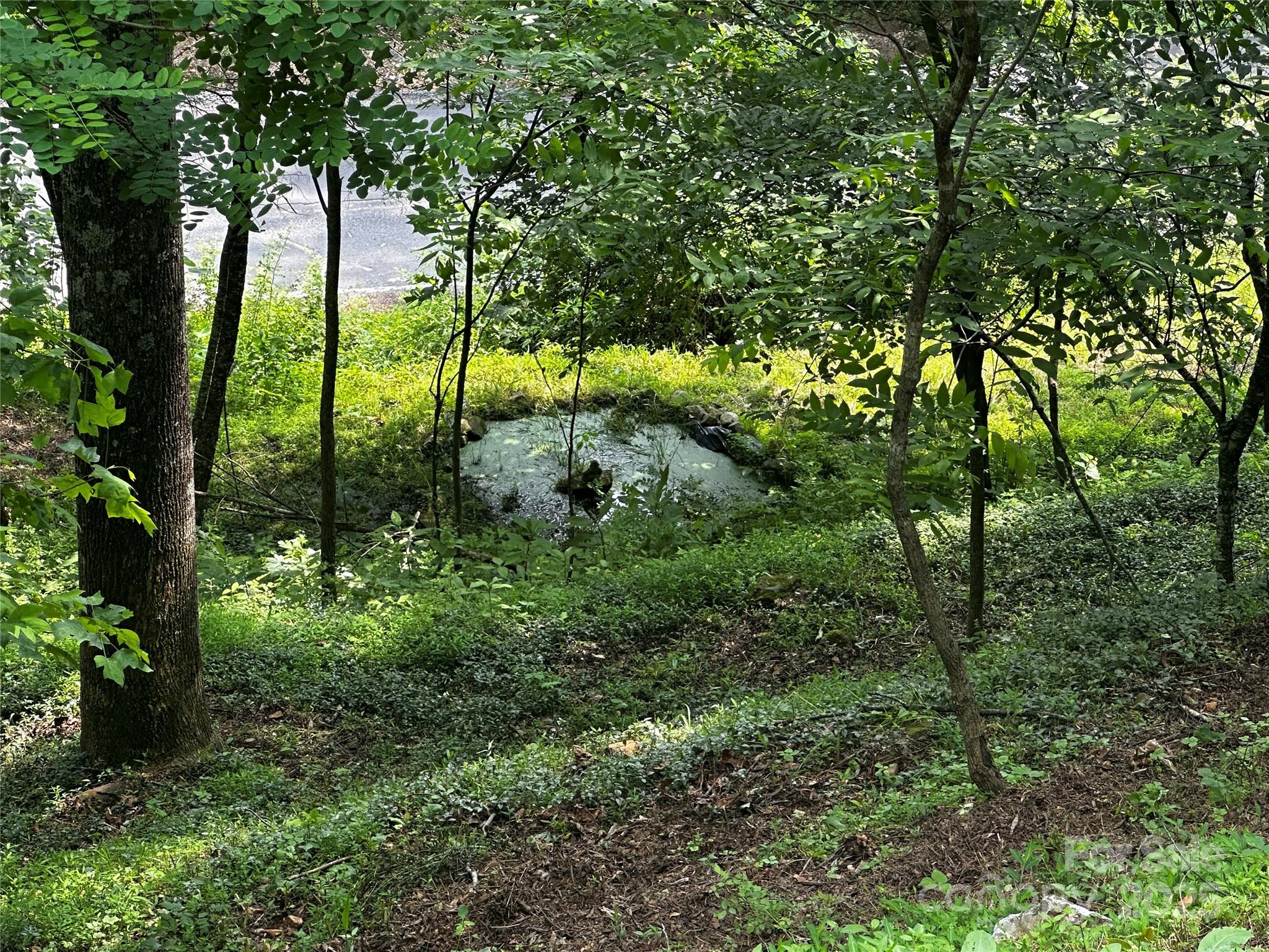 193 Green Cove Road Bakersville, NC 28705 - Photo 4 of 30