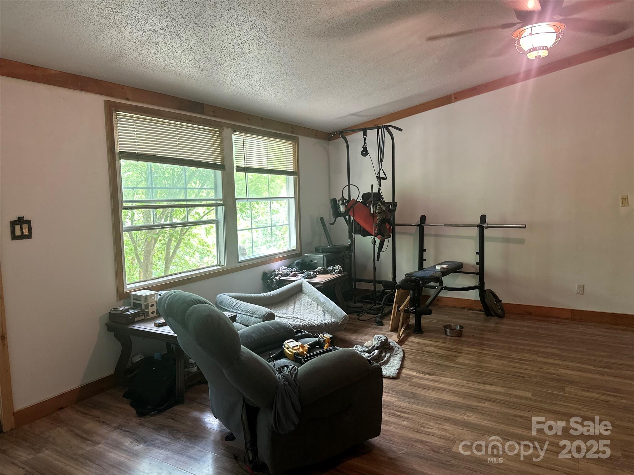 193 Green Cove Road Bakersville, NC 28705 - Photo 7 of 30