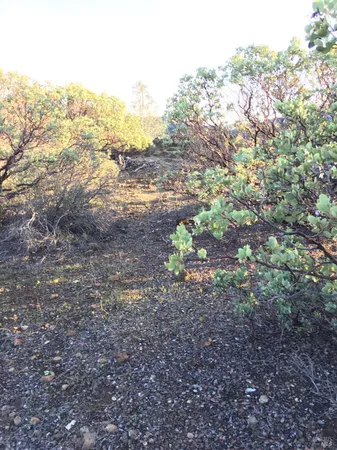 $520,000 | 1060 Snell Valley Road, Pope Valley, CA 94567