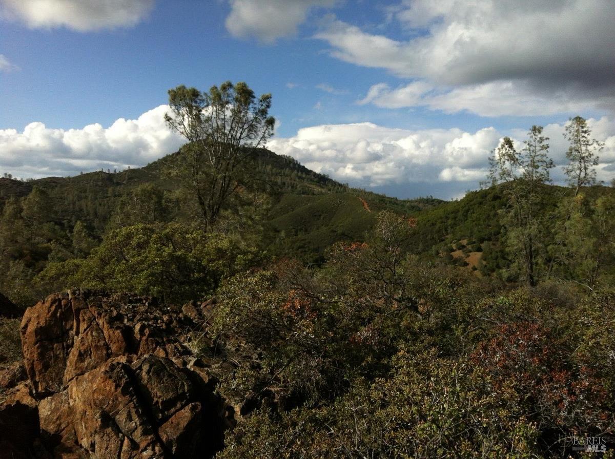 1060 Snell Valley Road Pope Valley, CA 94567 - Photo 14 of 15