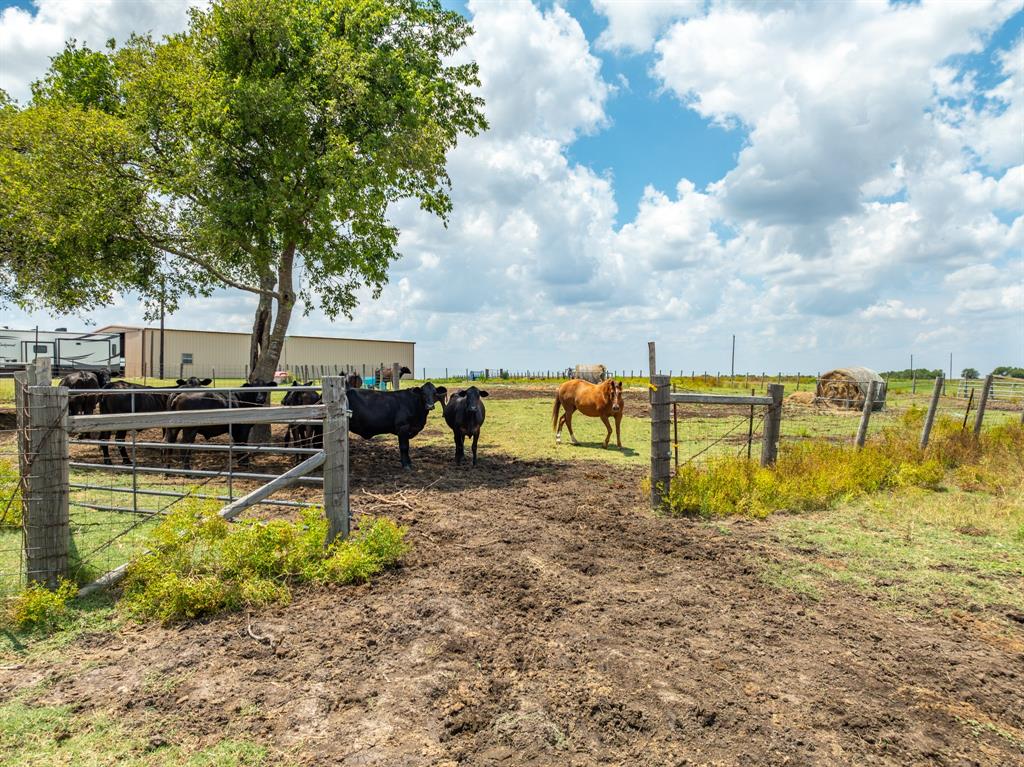 3830 Content School Road Temple, TX 76501 - Photo 9 of 33