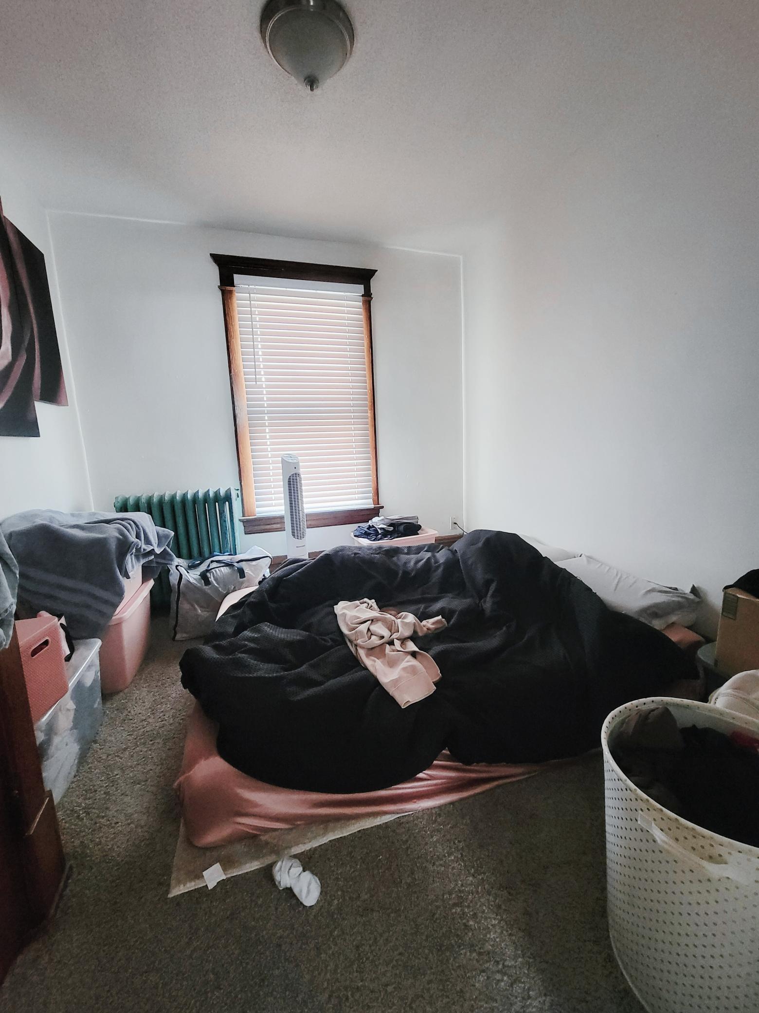 1039 Edgerton Street St. Paul, MN 55130 - Photo 12 of 14