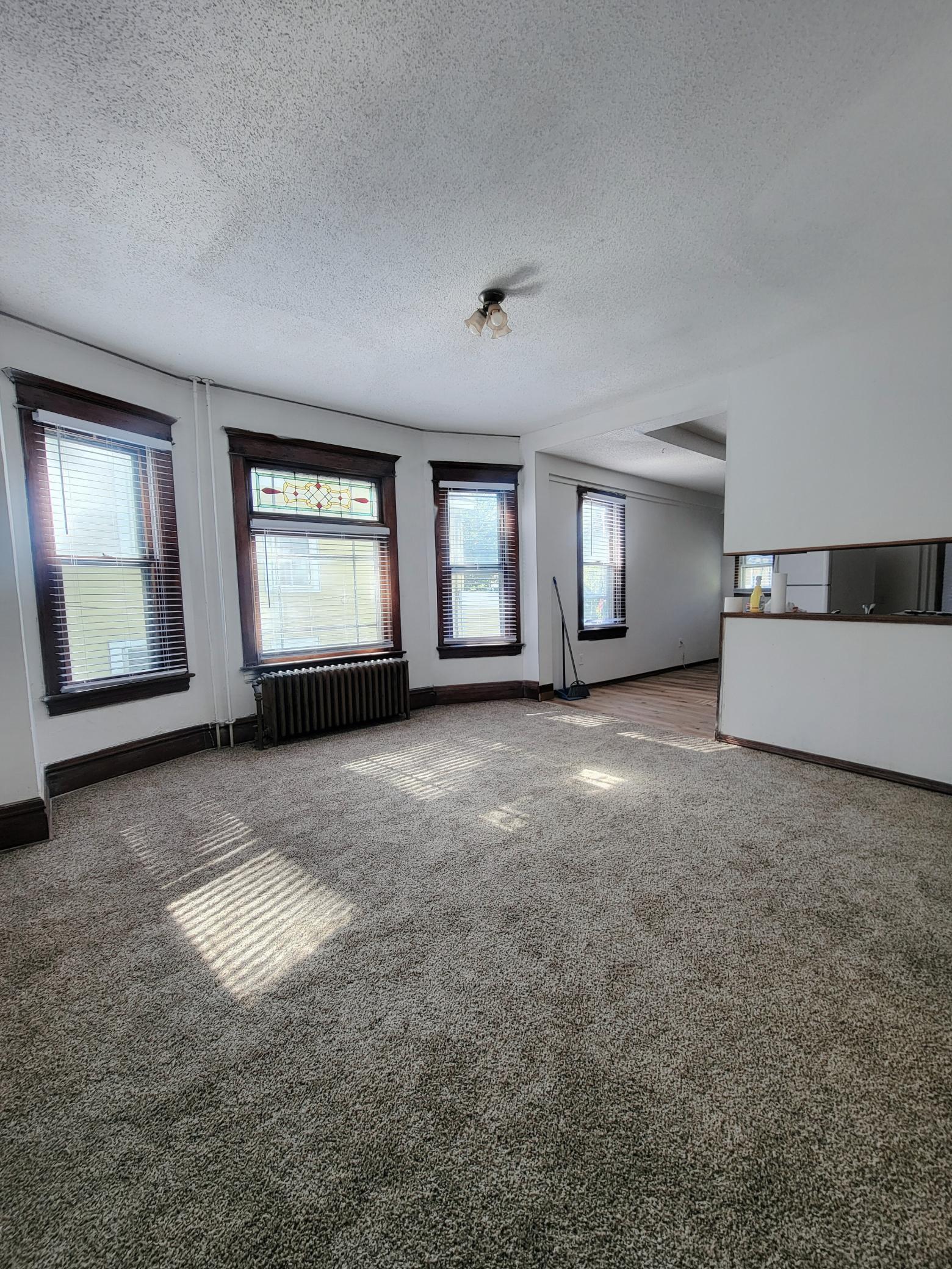 1039 Edgerton Street St. Paul, MN 55130 - Photo 5 of 14