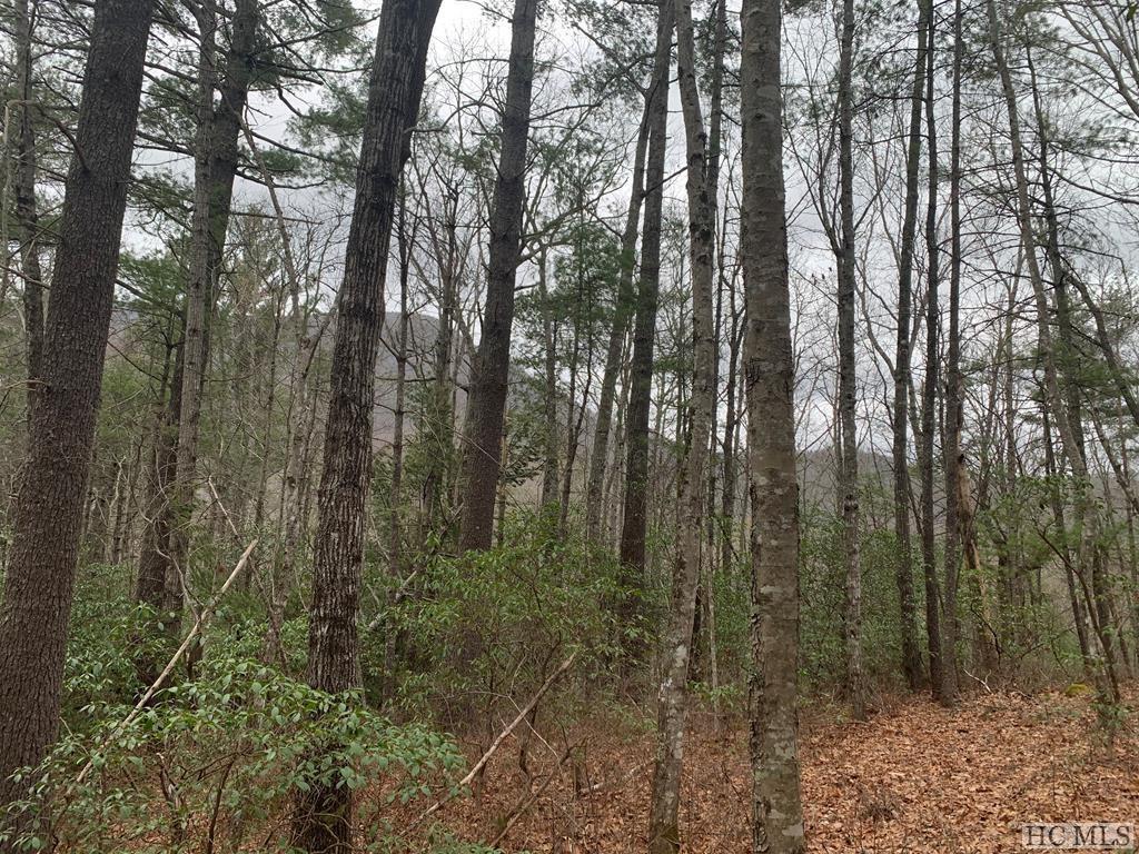 L051 Rocky Ridge Road Sapphire, NC 28774 - Photo 4 of 4 Gallery Image 4
