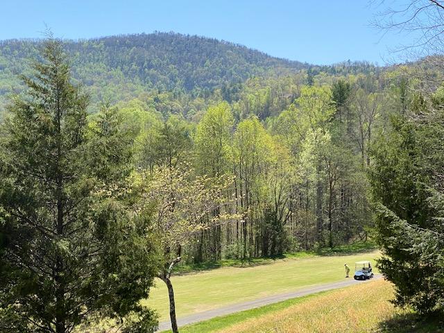 304 Settlers View Road Townsend, TN 37882 - Photo 3 of 28 Golf Course