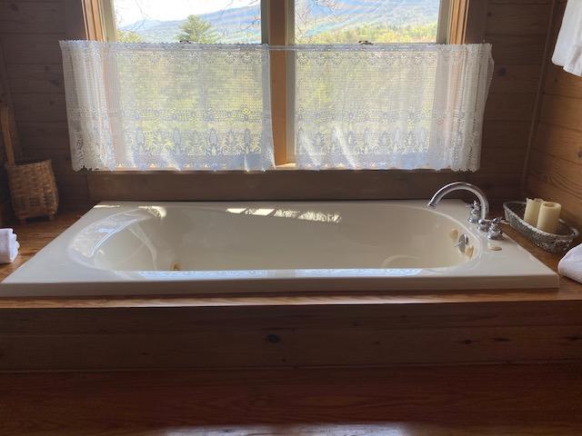 304 Settlers View Road Townsend, TN 37882 - Photo 26 of 28 Upper level Bath with a view