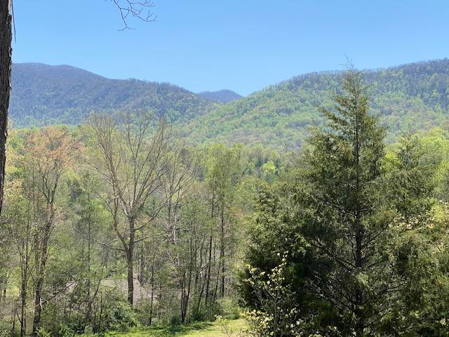 304 Settlers View Road Townsend, TN 37882 - Photo 4 of 28 Views