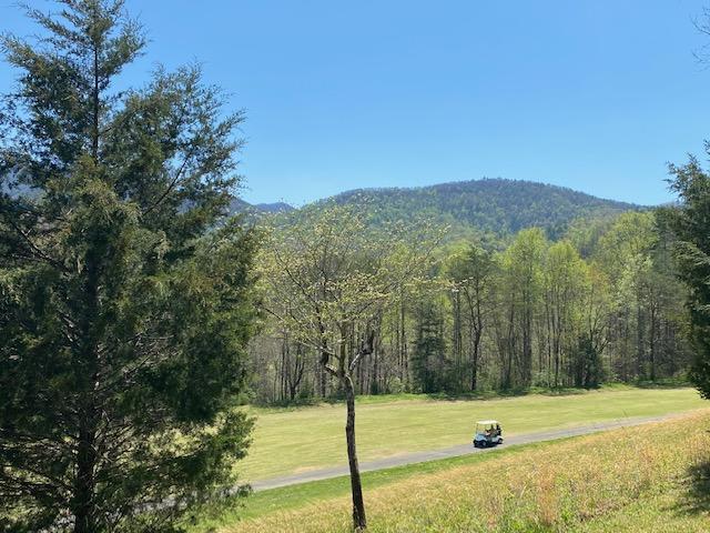 304 Settlers View Road Townsend, TN 37882 - Photo 5 of 28 Got Course Views