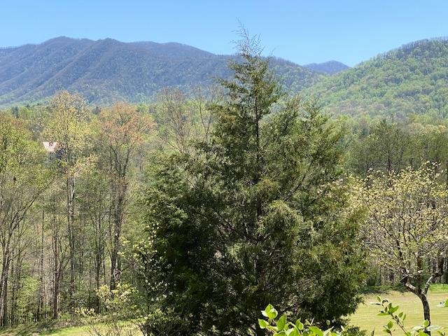 304 Settlers View Road Townsend, TN 37882 - Photo 6 of 28 Views