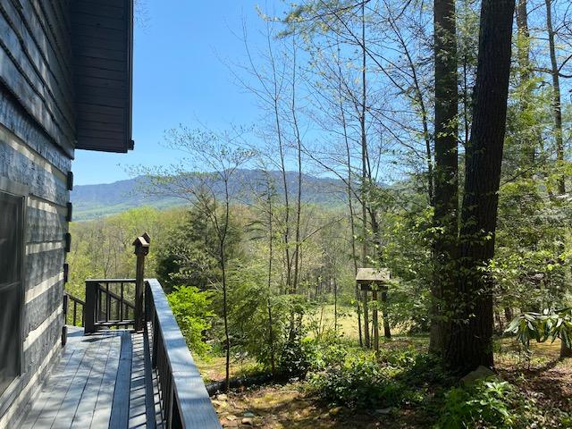 304 Settlers View Road Townsend, TN 37882 - Photo 7 of 28 Side Views