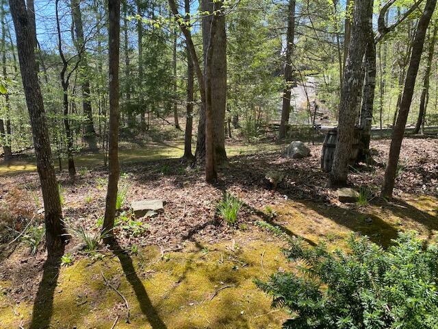 304 Settlers View Road Townsend, TN 37882 - Photo 8 of 28 Side lot