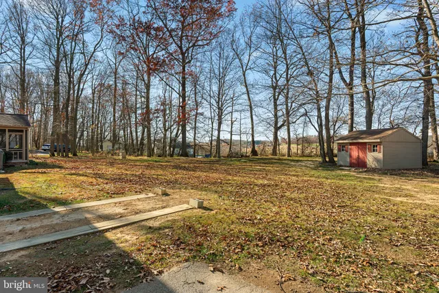 a view of pool with trees