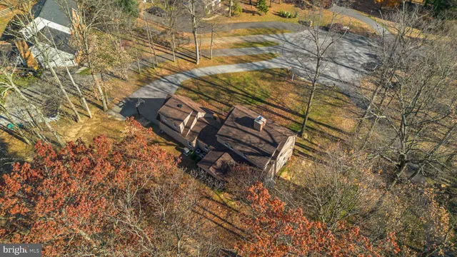 a view of street with large trees