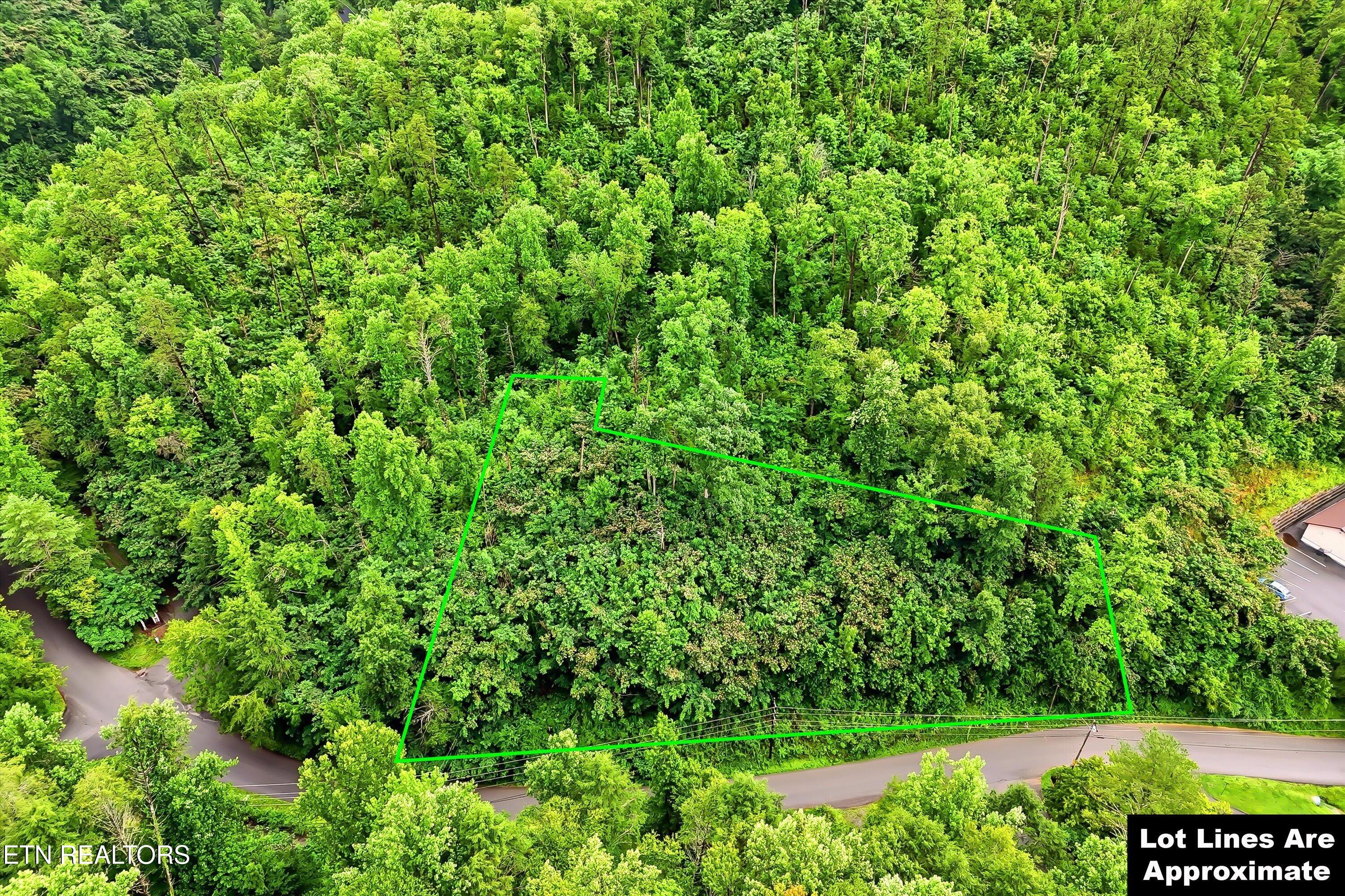 127 Beech Branch Road Gatlinburg, TN 37738 - Photo 1 of 18 01-FINAL-1