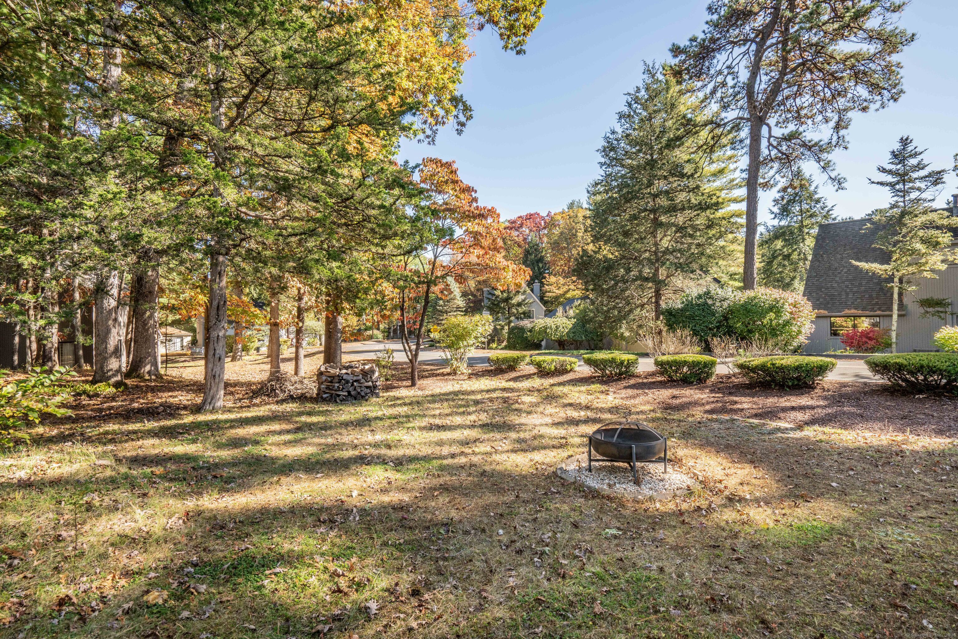 1 Morningside Court, Unit 1 Avon, CT 06001 - Photo 31 of 31 a view of a yard with a tree