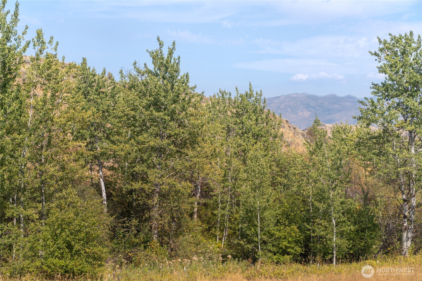 653 B Ellemeham Mountain Road Oroville, WA 98844 - Photo 19 of 33