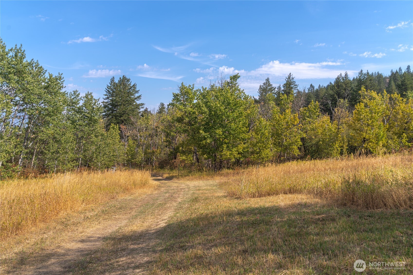 653 B Ellemeham Mountain Road Oroville, WA 98844 - Photo 20 of 33 a view of lake with green space