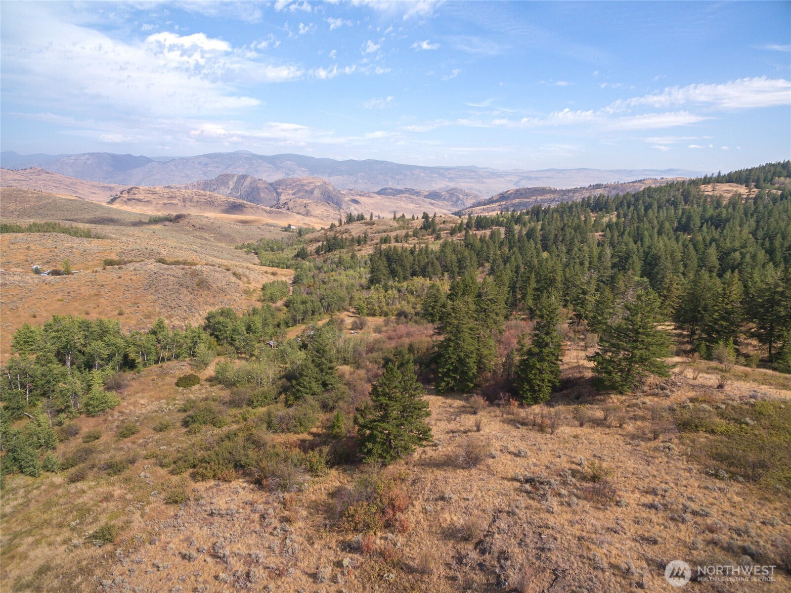 653 B Ellemeham Mountain Road Oroville, WA 98844 - Photo 24 of 33 a view of a city with lush green forest