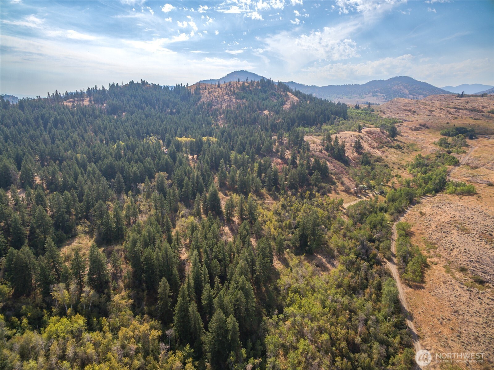 653 B Ellemeham Mountain Road Oroville, WA 98844 - Photo 30 of 33 an aerial view of houses covered in trees