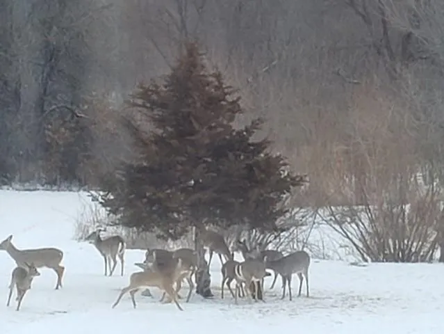 $325,000 | 5730 Southeast 33rd Highway, Osborn, MO 64474