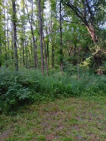 $325,000 | 5730 Southeast 33rd Highway, Osborn, MO 64474