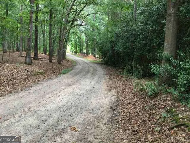 a view of a forest with trees in the background