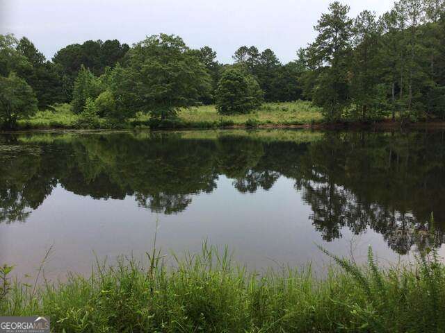 111 Mitchell Road Fayetteville, GA 30214 - Photo 11 of 19 a lake view with a lake view