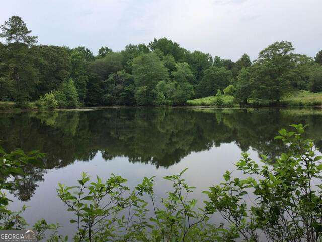 111 Mitchell Road Fayetteville, GA 30214 - Photo 13 of 19 a body of water with a tree in the background