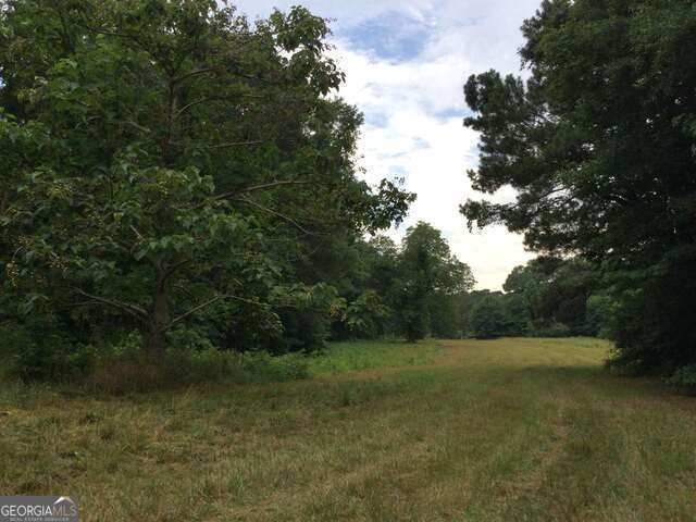111 Mitchell Road Fayetteville, GA 30214 - Photo 14 of 19 a view of a field with trees in the background