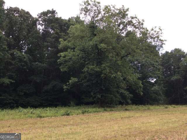 111 Mitchell Road Fayetteville, GA 30214 - Photo 15 of 19 a view of a yard