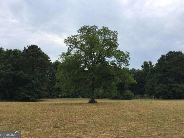 111 Mitchell Road Fayetteville, GA 30214 - Photo 18 of 19 a view of a field with trees in background