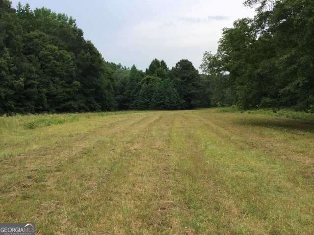 111 Mitchell Road Fayetteville, GA 30214 - Photo 3 of 19 a view of yard with trees