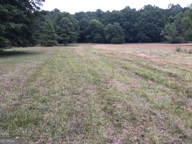 111 Mitchell Road Fayetteville, GA 30214 - Photo 4 of 19 a view of outdoor space and yard