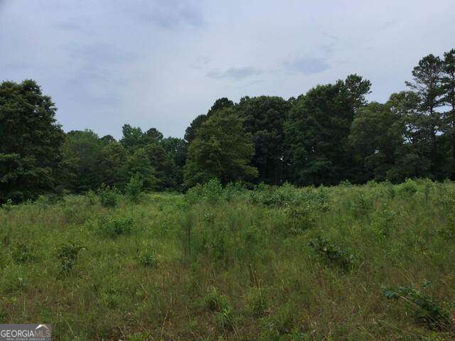 111 Mitchell Road Fayetteville, GA 30214 - Photo 5 of 19 a view of a green field with lots of bushes