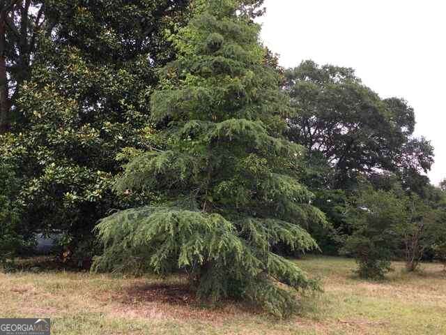 111 Mitchell Road Fayetteville, GA 30214 - Photo 7 of 19 a view of a forest with trees