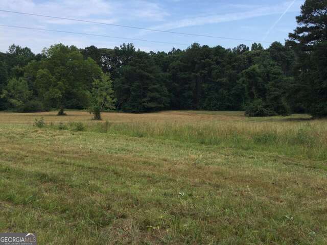 111 Mitchell Road Fayetteville, GA 30214 - Photo 8 of 19 a view of a field with an tree in the background