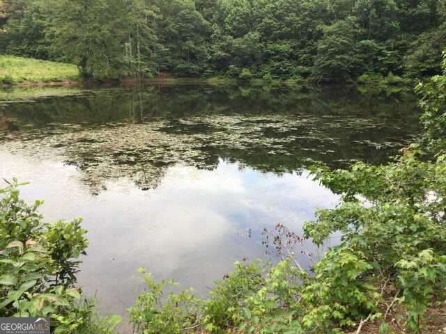 111 Mitchell Road Fayetteville, GA 30214 - Photo 10 of 19 a view of a lake view