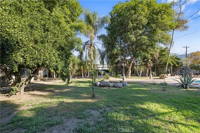 a view of a park with tree s