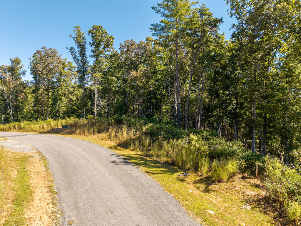 Lot 62 Ridge Drive Blue Ridge, GA 30513 - Photo 4 of 17 Gallery Image 4
